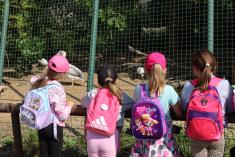 ZOO Plzeň
